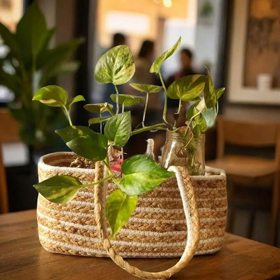 Designer Baskets | Storage/Shelves Baskets | Fruit Baskets or clothes