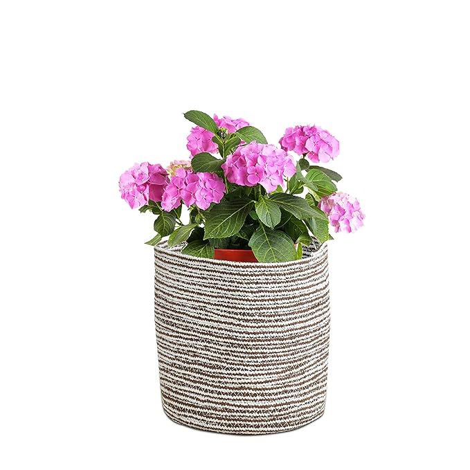 Braided Cotton Baskets | Storage Bins Organizer | Laundry, Toys & Planter Basket