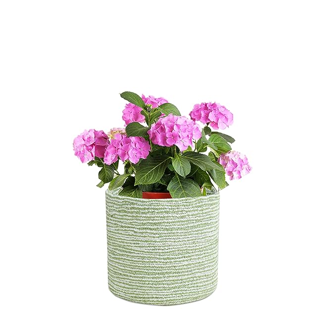 Braided Cotton Baskets | Storage Bins Organizer | Laundry, Toys & Planter Basket