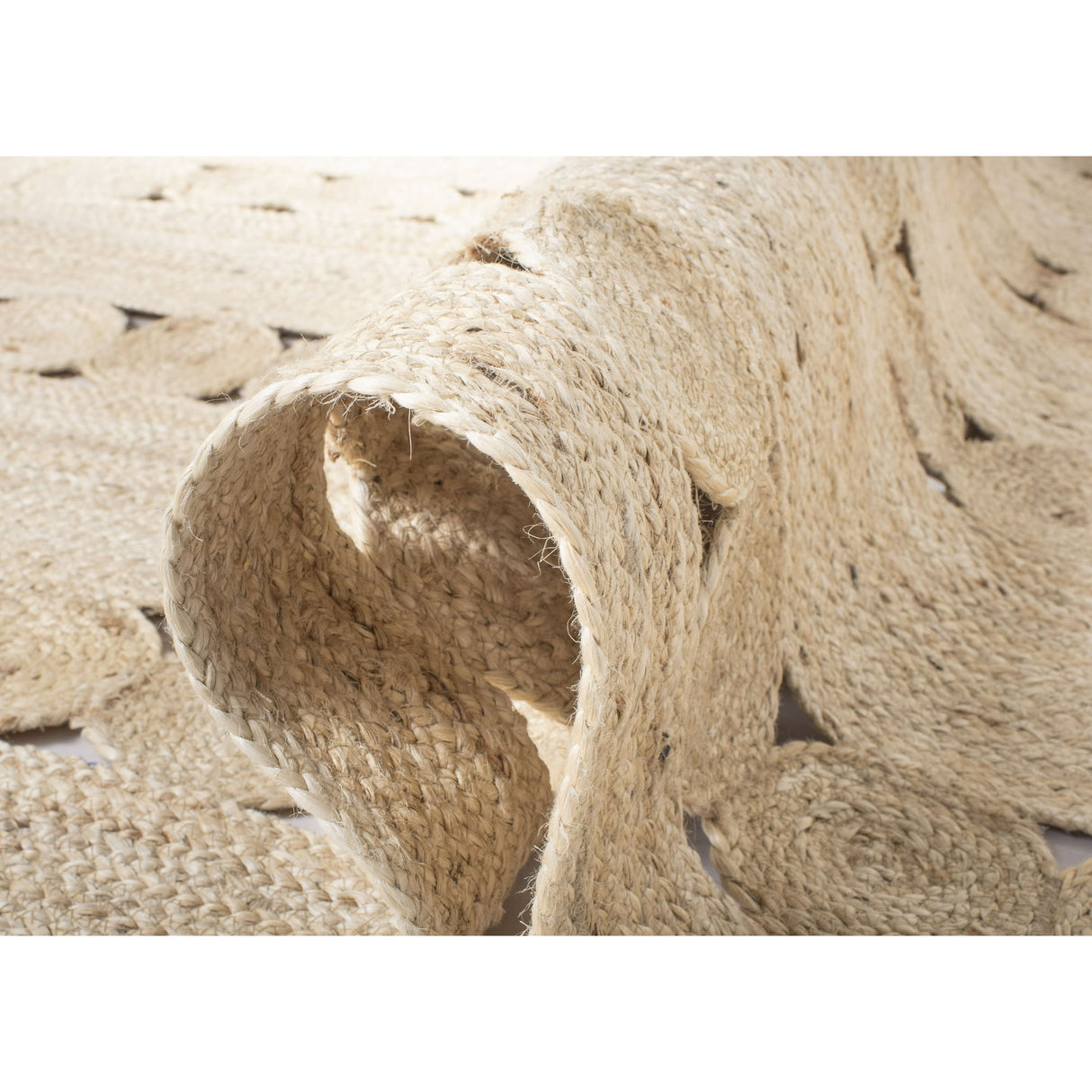 Natural Fiber Kaelee Braided Geometric Jute Area Rug