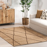 Natural Jute Area Rug, Hand Braided Hemp Rug