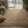 Natural Diamond Handbraided Carpet Rug